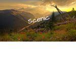 Scenic Obby.