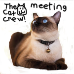 The Awesome Kitty’s!