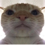 alt payouts for audios and stufffffff