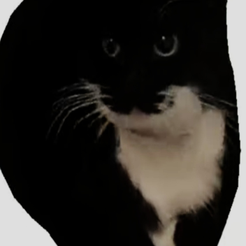 Maxwell obby