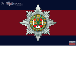 The Irish Regimental Guard's Training Centre
