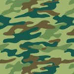 CAMOUFLAGE DANCERS