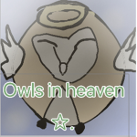 Owl in heaven
