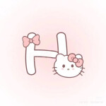 H ≽^• ˕ • ྀི≼