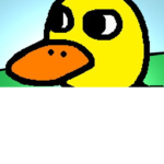 The Board Of Ducks