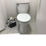 Toilet Game
