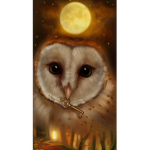 Magical Honey