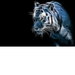 RIVERDALE TIGER CLOTHING