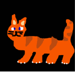 Cat's Cloths