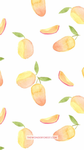 Mango Magnolia's