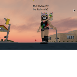 the baka city