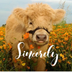 | Sincerely |