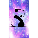 SpaceShipPandaSquad