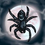 Spiders Are Great!