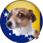 wat da dawg doin gang