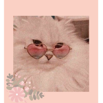 Cutie :-3