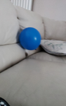 dl_1dl