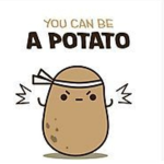 ...Potato_squad