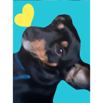 Dog squad boo yea