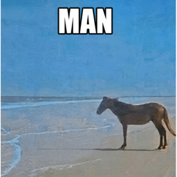 Man