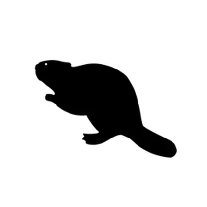 Bobrsoft Roblox group icon