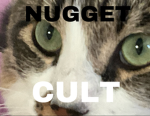 THE REAL NUGGET CULT
