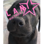LANI BOUTIQUE!