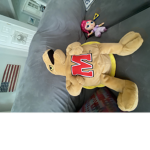 Maryland Terps