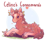 Celine’s Connemara’s