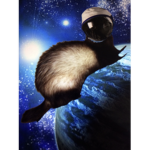 Cosmic ferret