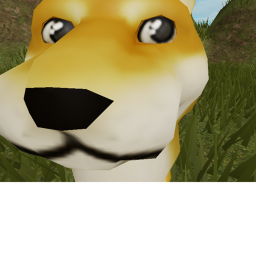 Doge