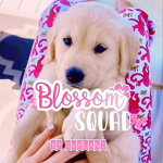 • blossom squad. • Group Thumbnail