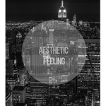 AestheticFeeling ᵀᴹ