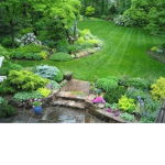 Niamh's Garden
