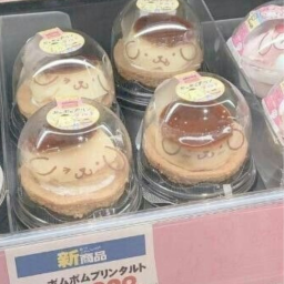 ꒰ ᰔᩚ ꒱