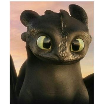 how to train your DRAGON game!