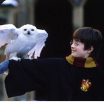 -Harry Potter Fan Group! <3