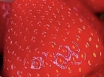 My strawberry berries