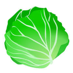 RobloxLettuce