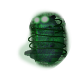 High-Tech Chomik