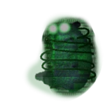 High-Tech Chomik