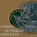 |MX| [FE] Fuerzas especiales.