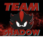 Shadow Sentry Team