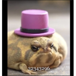 ducksclothes