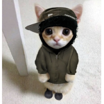 ʸ ᵉ ˢ