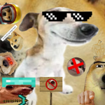 Pigo