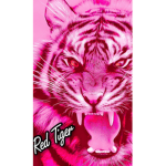 Red Tiger Is Me Studio