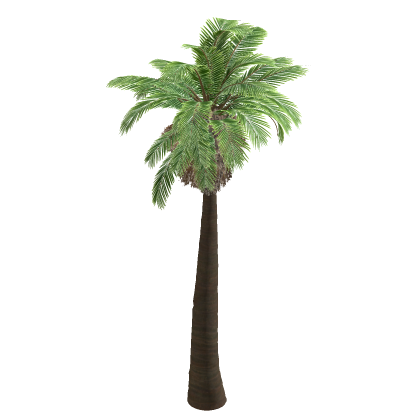 🔮 Palm Tree Nature Packisland Beach Tiki Coconu