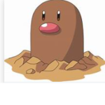 The group of diglet!