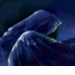 Shadow Wizard Inc